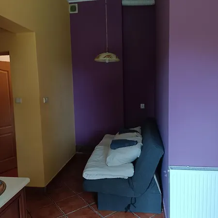 Guest house Pokoje U Gruszki *